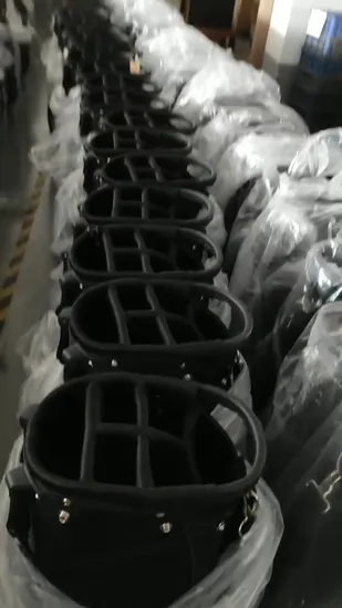 소년 소녀 골프 브래킷 가방을 위한 인기 판매 골프 가방